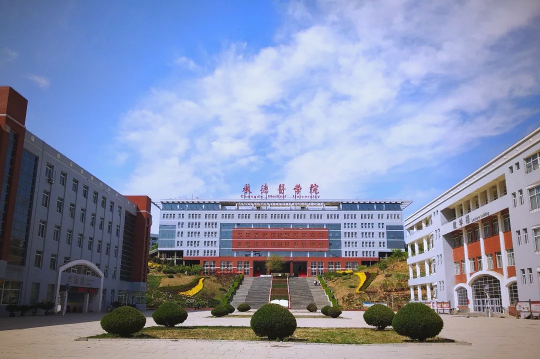 WhatsApp Image 2025-06-25 at 00.47.07